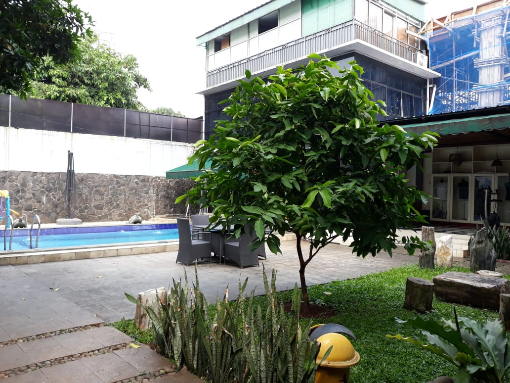 Rumah Dijual Kemang Jakarta Selatan - Image 2